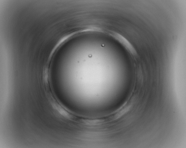 X0000114161292200910081345