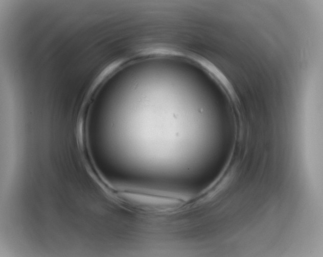 X0000114161293200910081345
