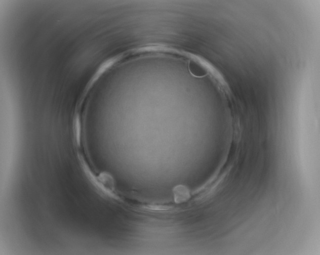 X0000114161295200910081345