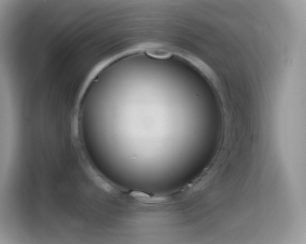 X0000114161296200910081345