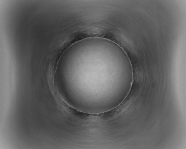 X0000114161297200910081345
