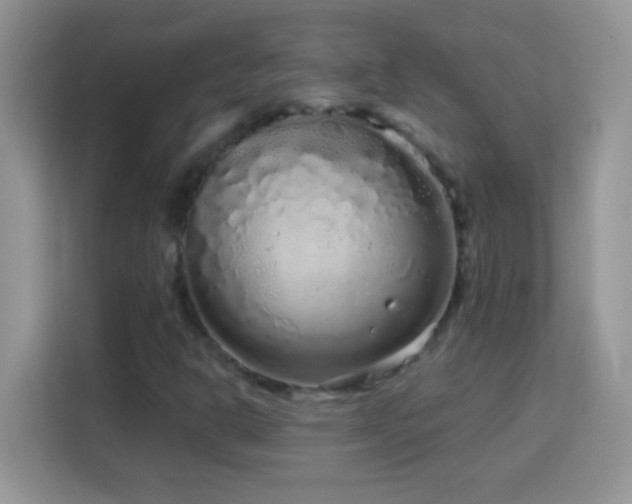 X0000114161302200910081345