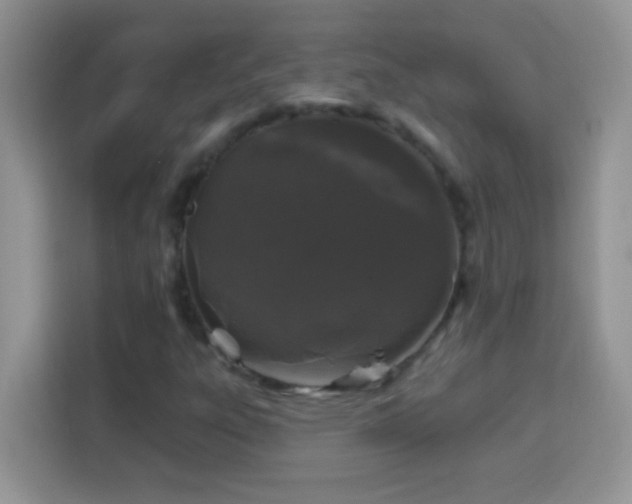 X0000114161303200910081345