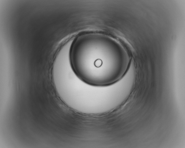 X0000114161304200910081345