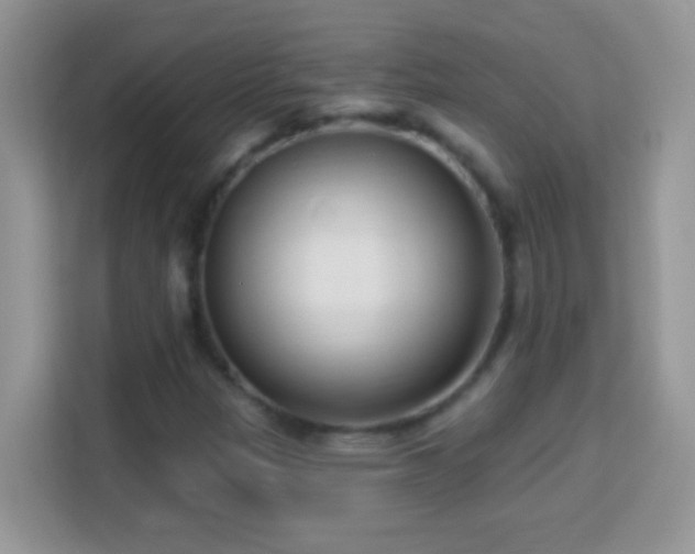 X0000114161305200910081345
