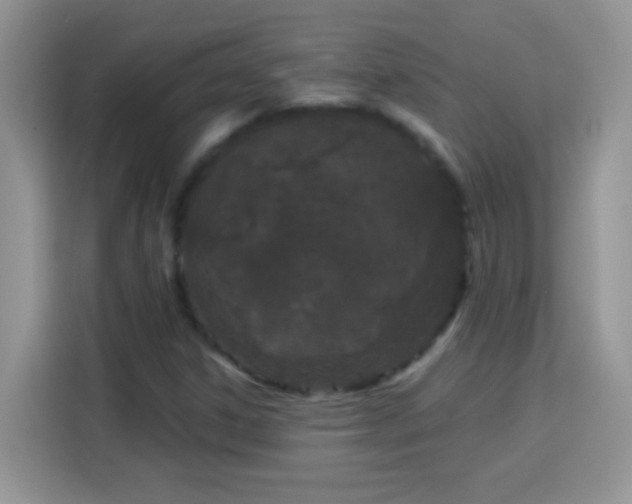 X0000114161306200910081345