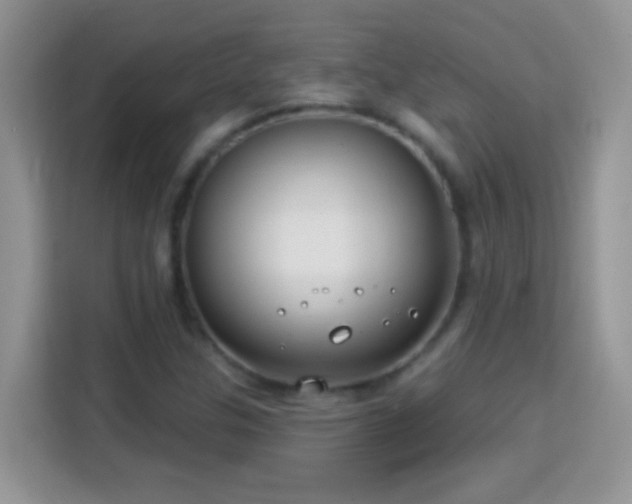 X0000114161307200910081345