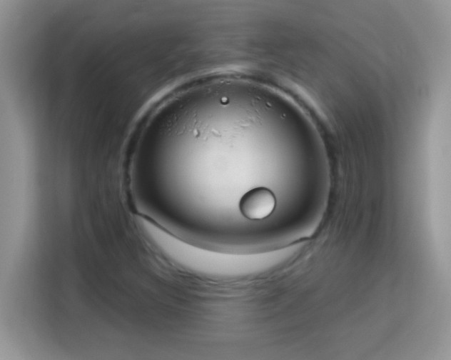 X0000114161308200910081345