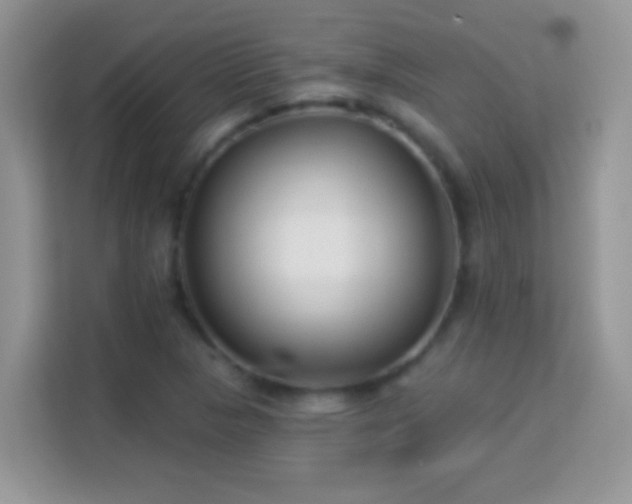 X0000114161313200910081345