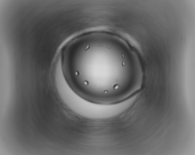 X0000114161316200910081345