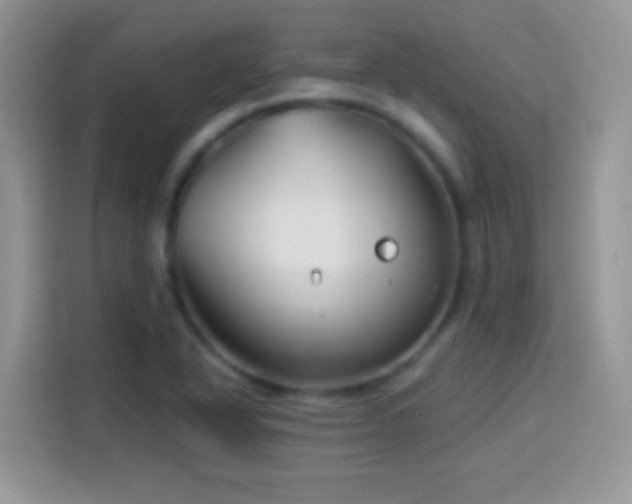X0000114161318200910081345