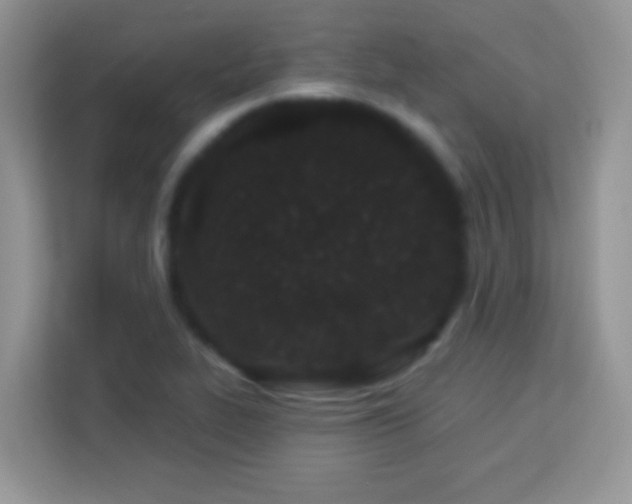 X0000114161319200910081345
