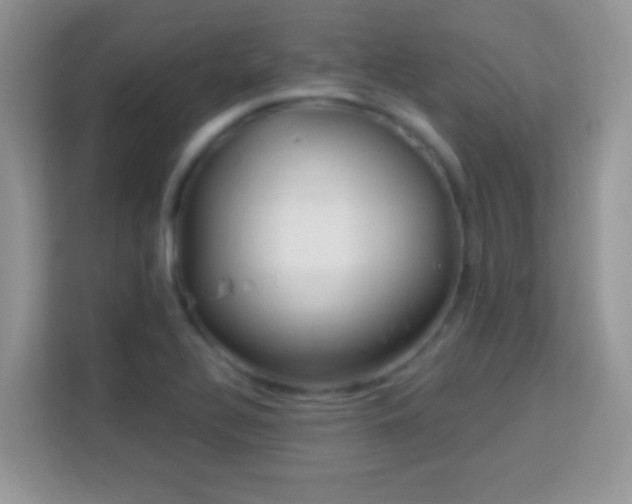 X0000114161320200910081345
