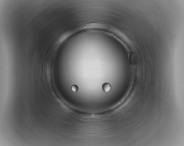 X0000114161321200910081345