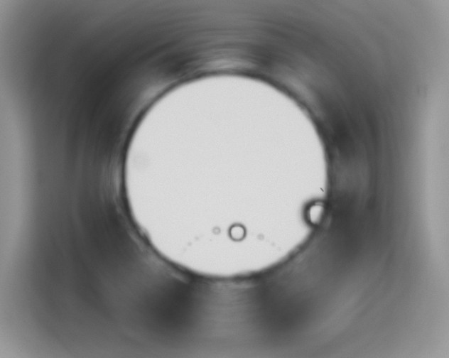 X0000114161322200910081345
