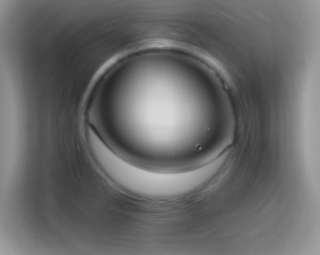 X0000114161326200910081345