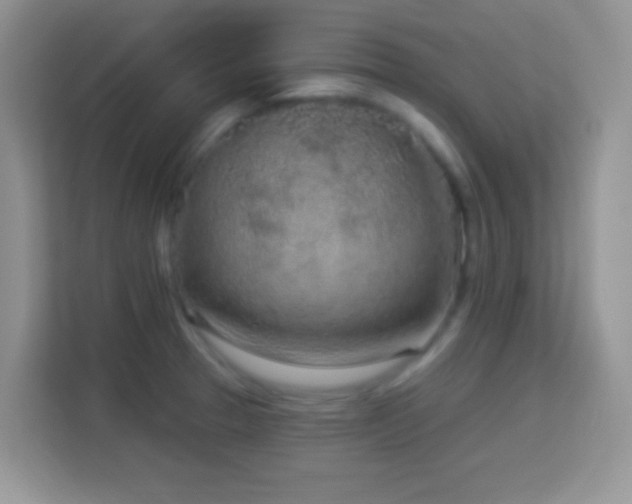 X0000114161329200910081345