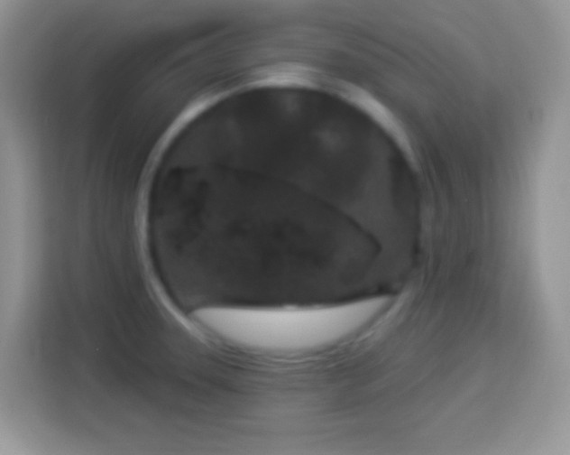 X0000114161331200910081345