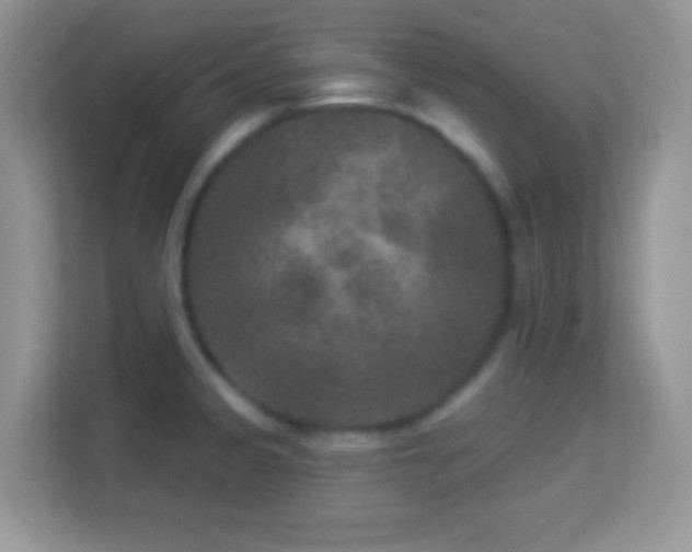 X0000114161333200910081345
