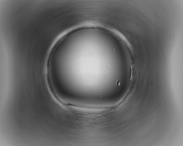 X0000114161335200910081345