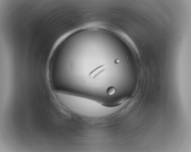 X0000114161336200910081345