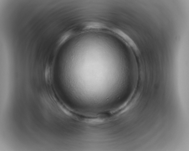 X0000114161337200910081345