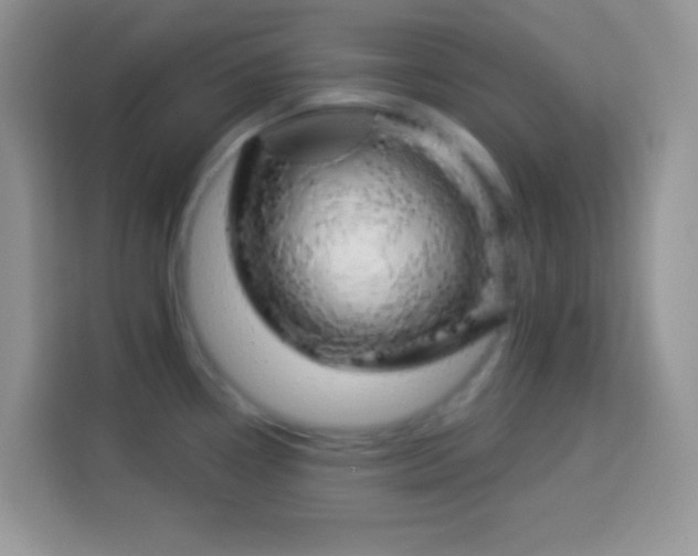X0000114161338200910081345