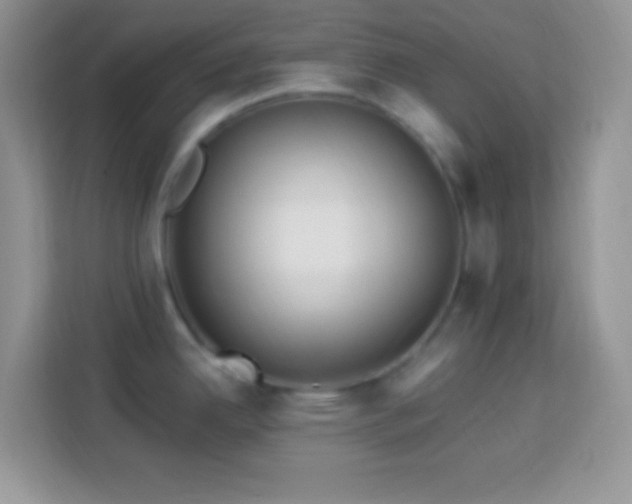 X0000114161342200910081345