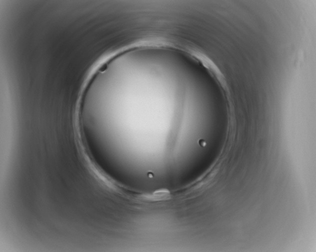 X0000114161344200910081345