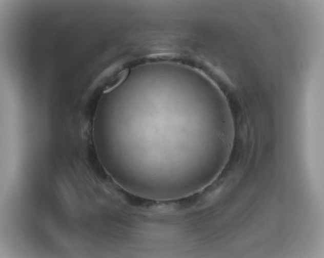 X0000114161351200910081345