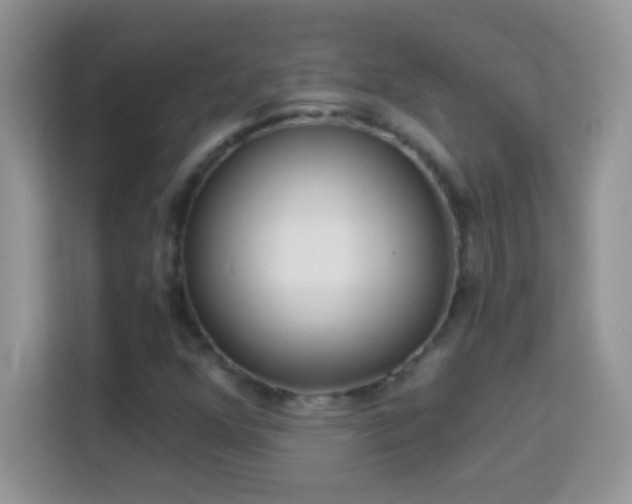X0000114161352200910081345
