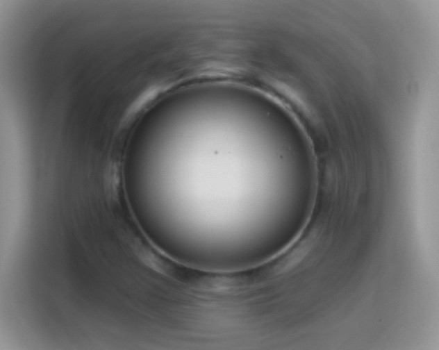 X0000114161355200910081345