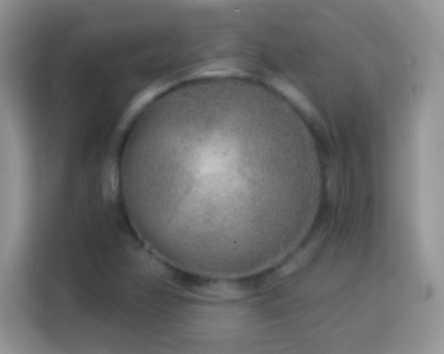 X0000114161358200910081345