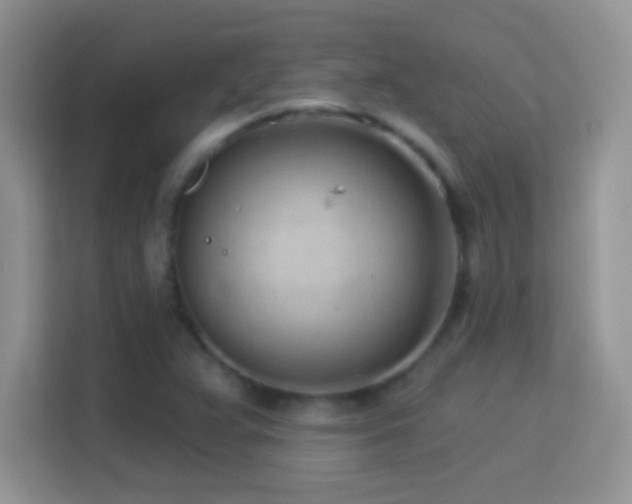 X0000114161359200910081345