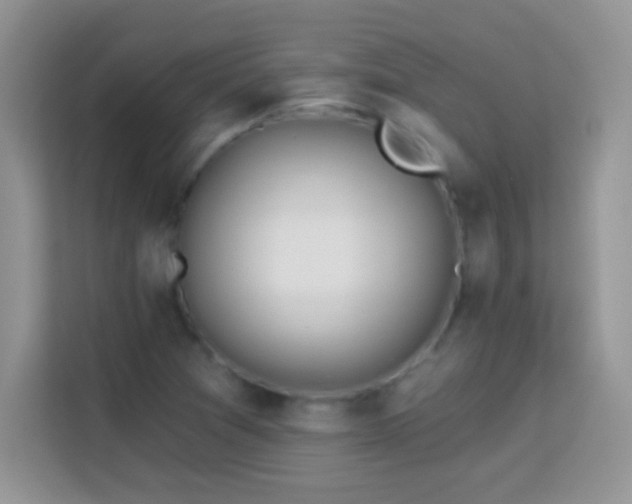 X0000114161361200910081345