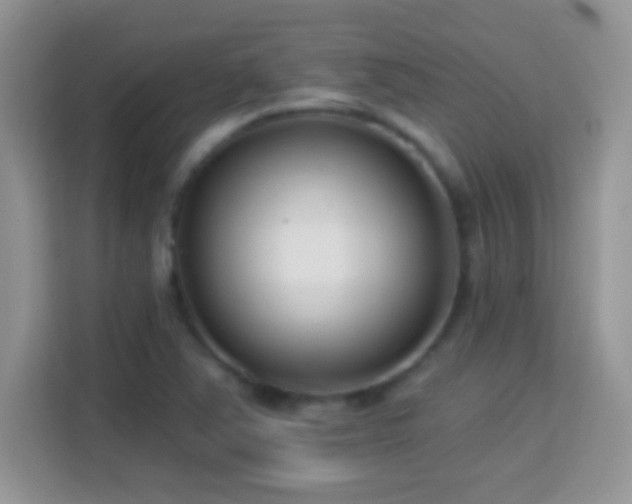 X0000114161363200910081345