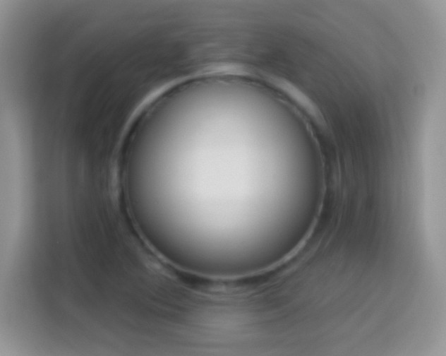 X0000114161364200910081344