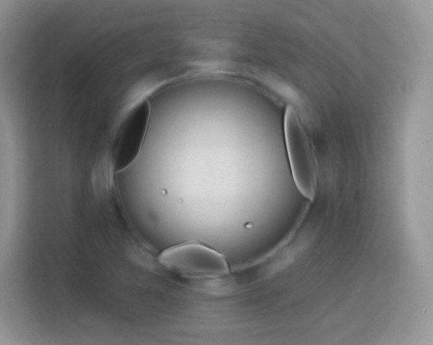 X0000114161365200910081344