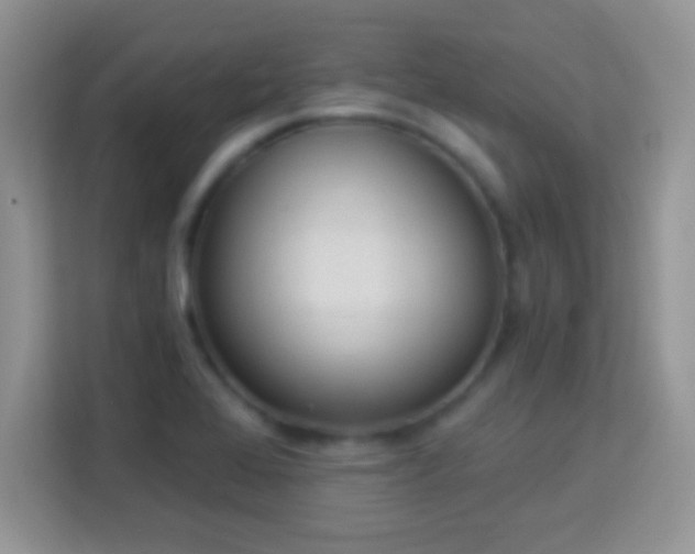 X0000114161368200910081344
