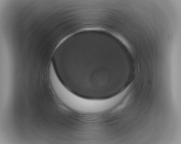 X0000114161369200910081344