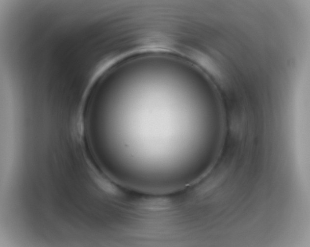 X0000114161372200910081344