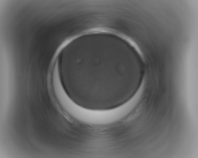 X0000114161373200910081344