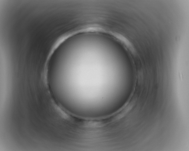 X0000114161374200910081344