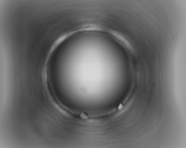X0000114161375200910081344