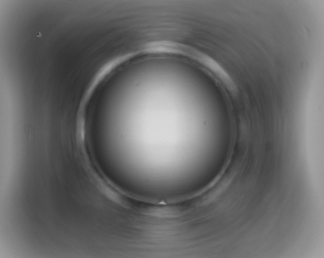 X0000114161376200910081344