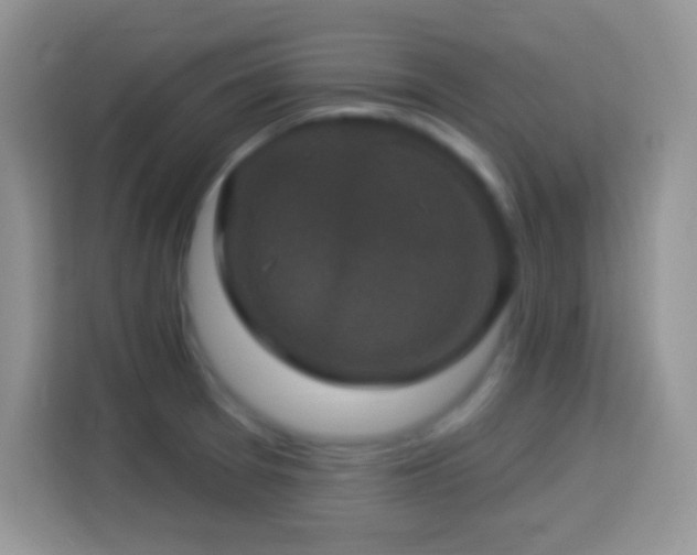 X0000114161377200910081344