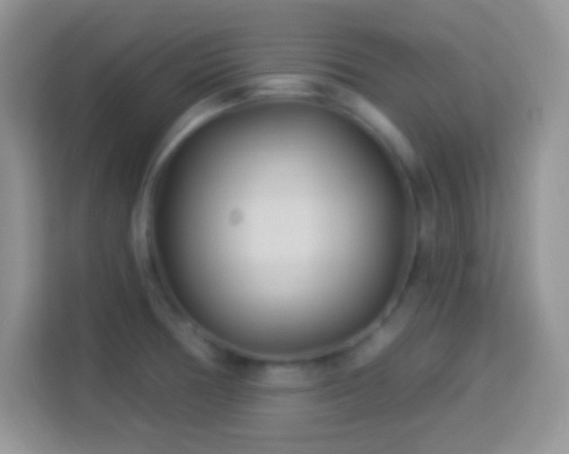 X0000114161378200910081344