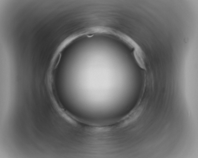 X0000114161381200910081344