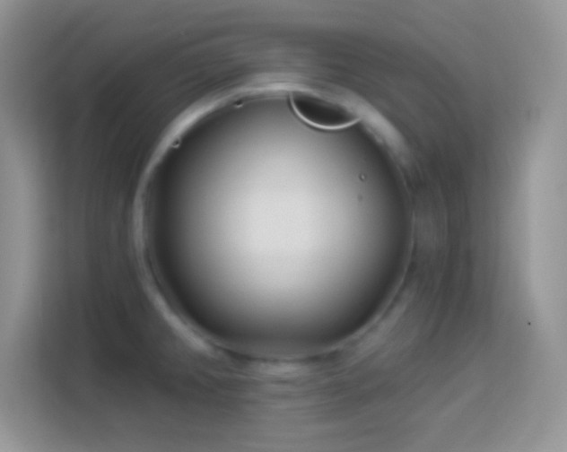 X0000114161382200910081344