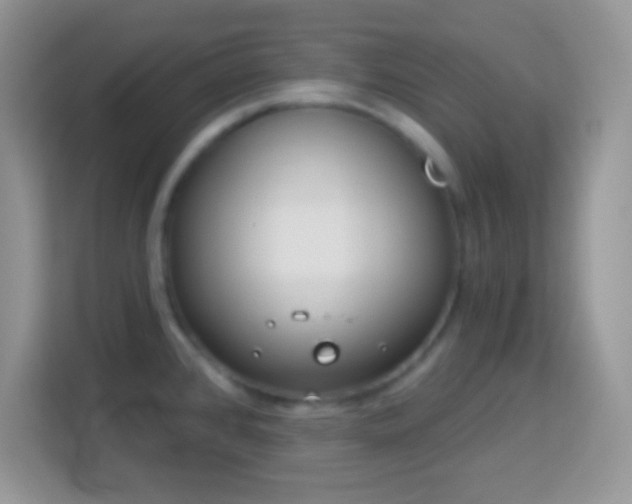 X0000114161384200910081344